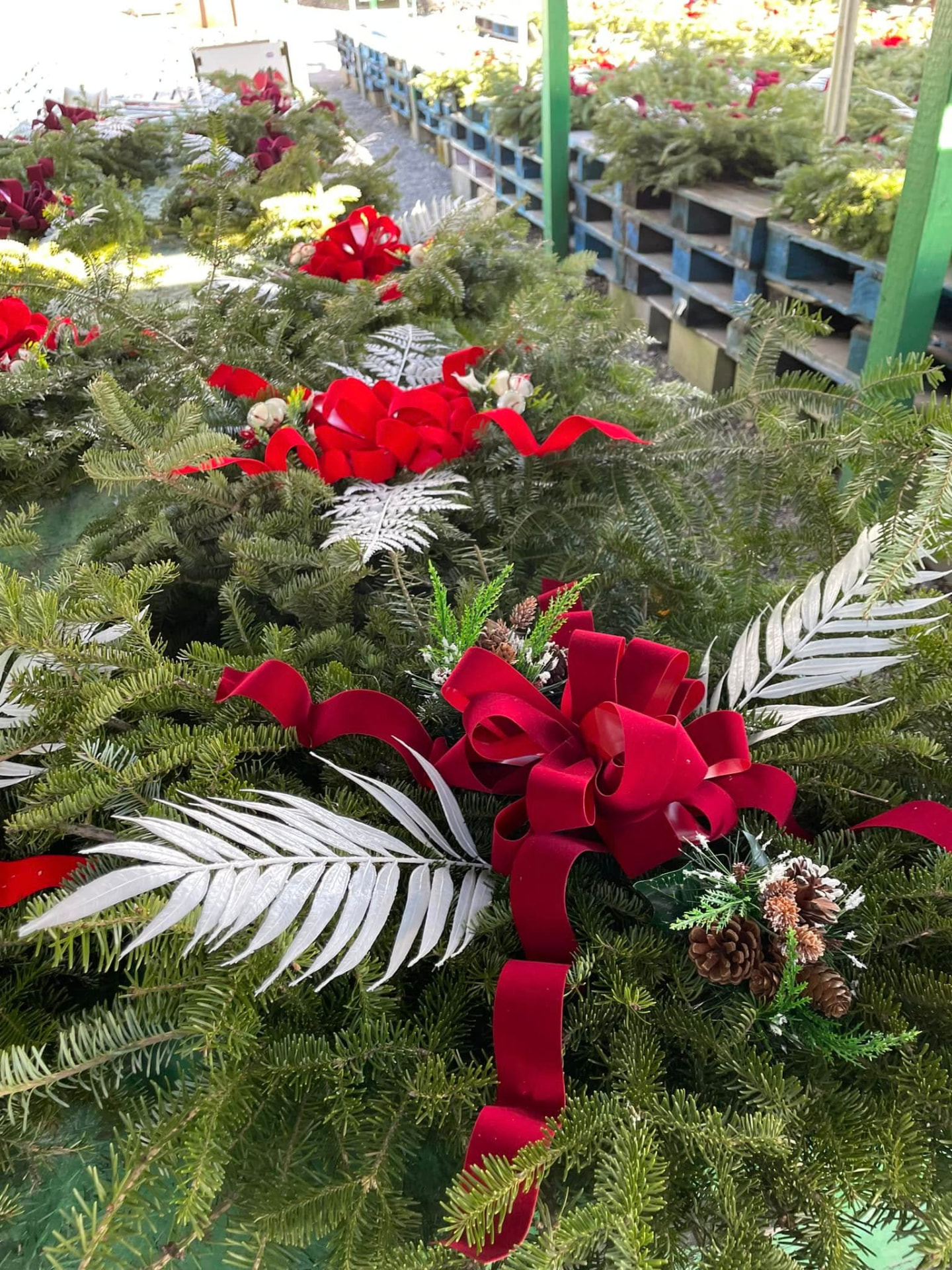 Christmas Trees & Holiday Decor